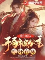 重生驸马公主不好娶